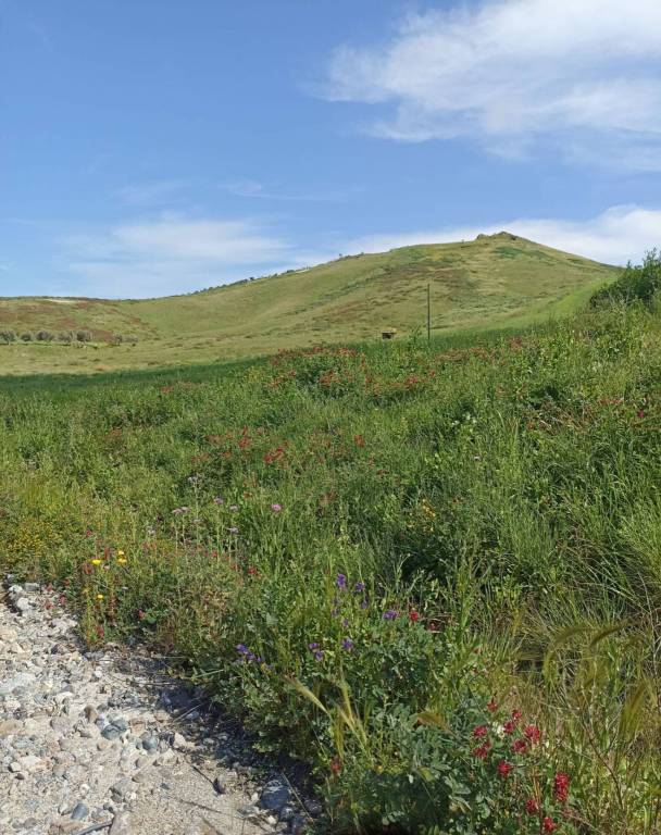terreno agricolo in vendita a Catanzaro in zona Catanzaro Lido