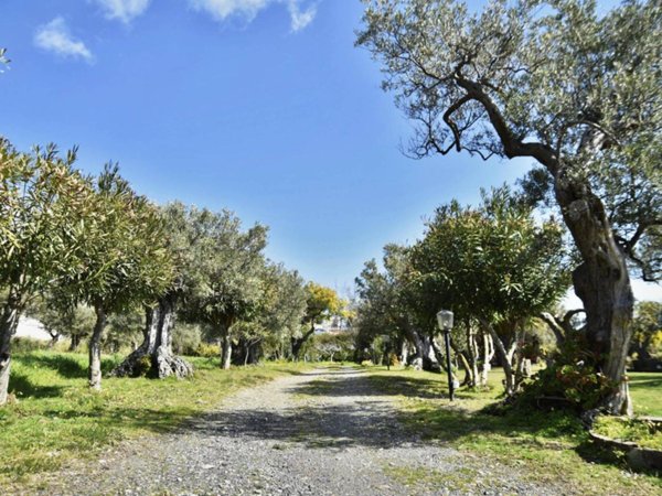 terreno agricolo in vendita a Catanzaro in zona Siano