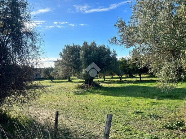 terreno agricolo in vendita a Catanzaro in zona Catanzaro Lido
