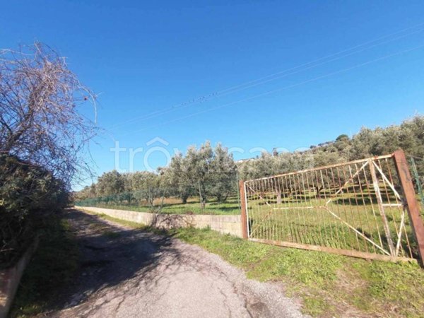 terreno agricolo in vendita a Catanzaro in zona Siano