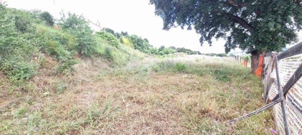 terreno agricolo in vendita a Catanzaro in zona Germaneto