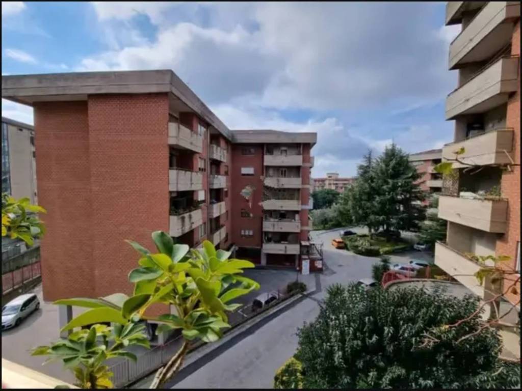 appartamento in vendita a Catanzaro in zona Mater Domini