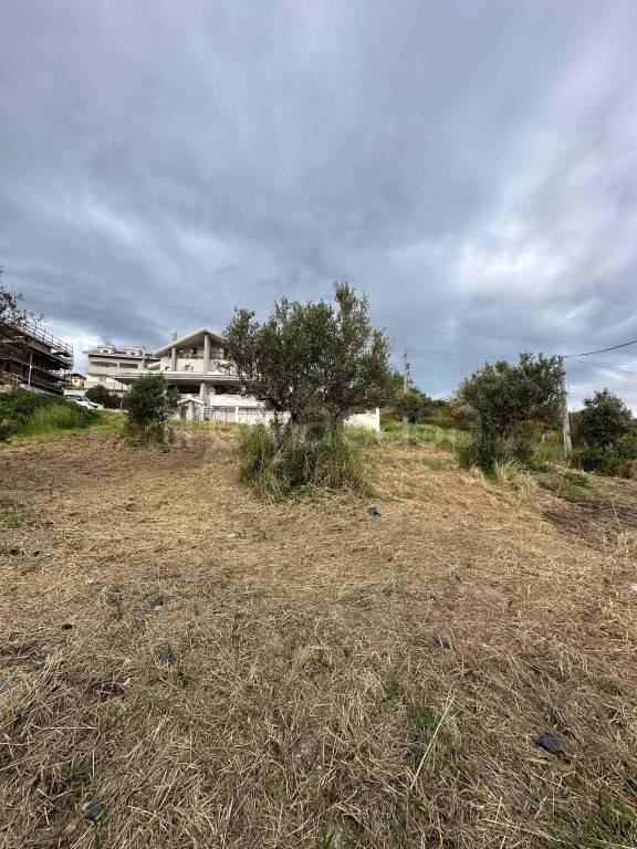 terreno agricolo in vendita a Catanzaro in zona Siano