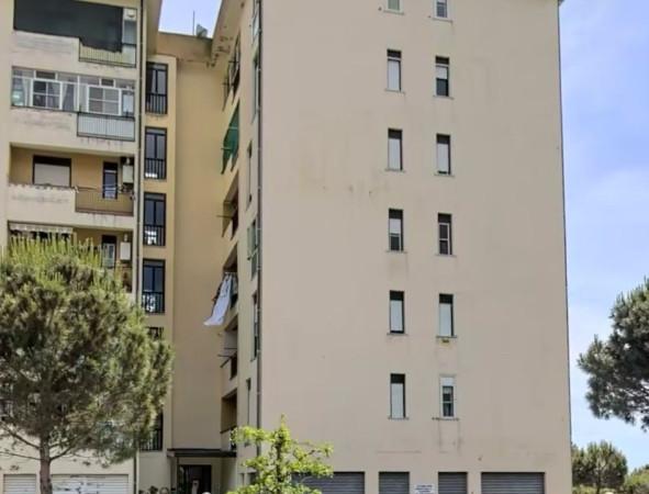 appartamento in vendita a Catanzaro