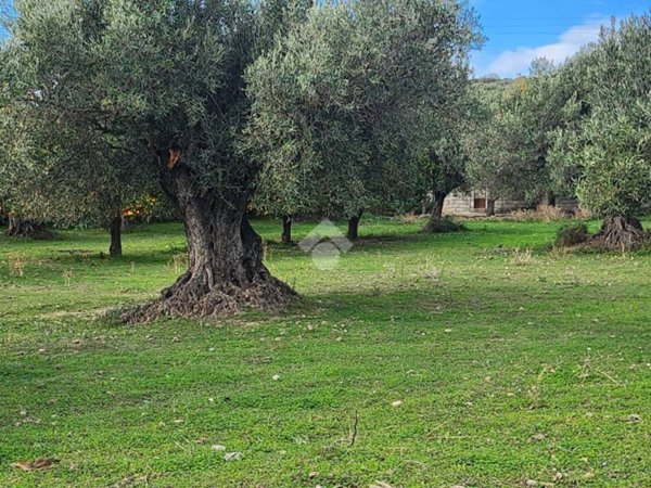 terreno agricolo in vendita a Catanzaro in zona Catanzaro Lido