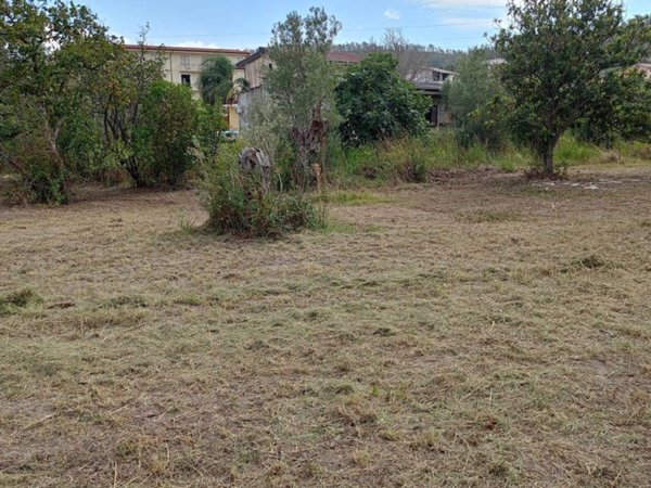 terreno agricolo in vendita a Catanzaro in zona Siano