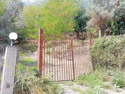 terreno agricolo in vendita a Catanzaro in zona Pontegrande