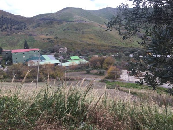 terreno agricolo in vendita a Catanzaro in zona Germaneto