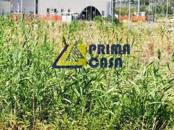 negozio in vendita a Catanzaro in zona Mater Domini
