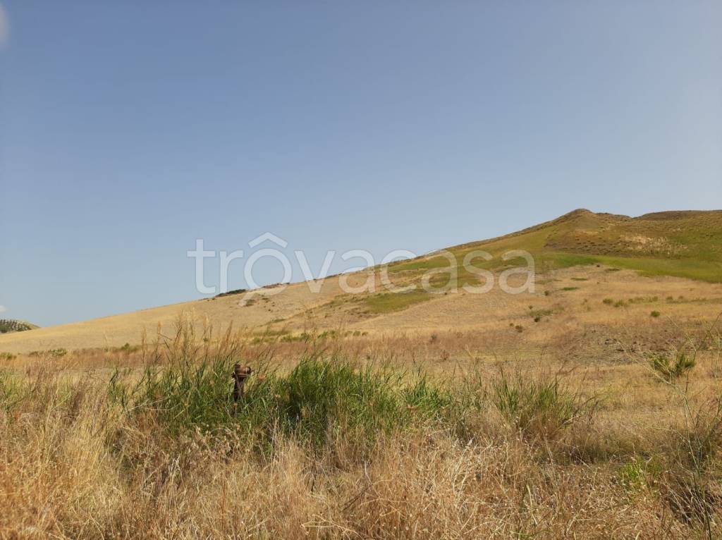 terreno agricolo in vendita a Catanzaro in zona Germaneto