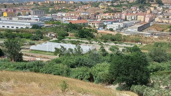 terreno agricolo in vendita a Catanzaro