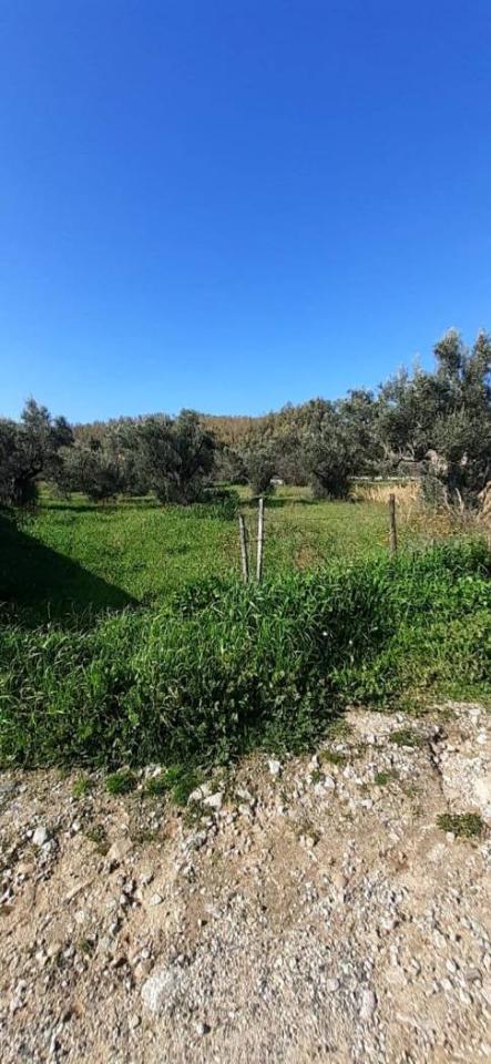 terreno agricolo in vendita a Catanzaro