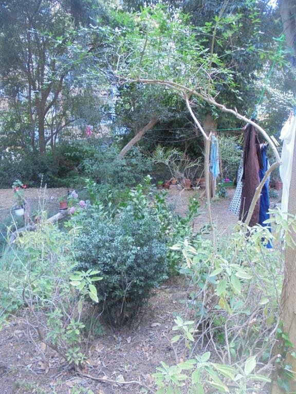 appartamento in vendita a Catanzaro in zona Centro Città