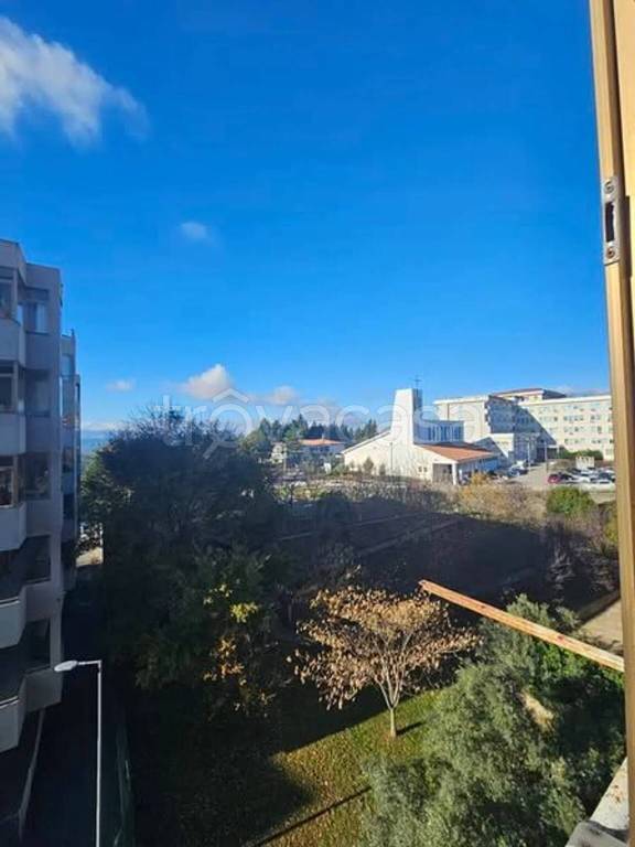 appartamento in vendita a Catanzaro in zona Mater Domini