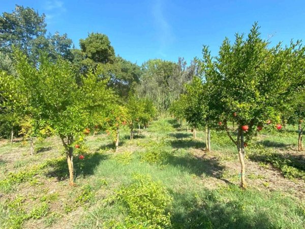 terreno agricolo in vendita a Catanzaro in zona Centro Città