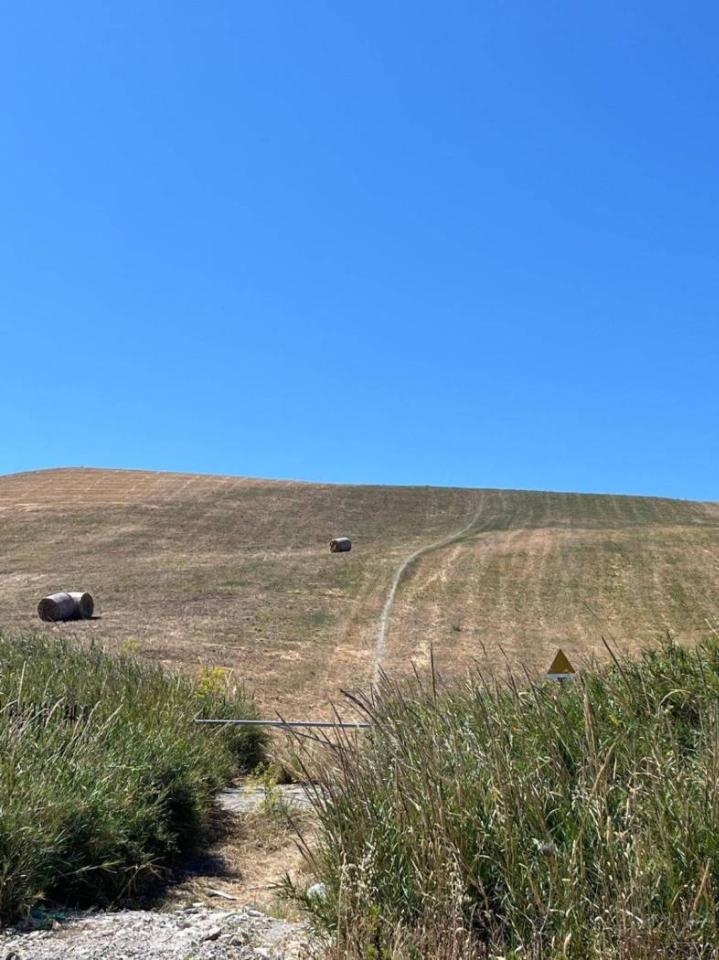 terreno agricolo in vendita a Catanzaro