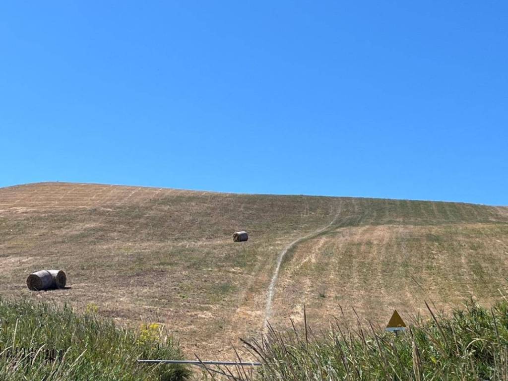 terreno agricolo in vendita a Catanzaro in zona Germaneto