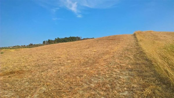 terreno agricolo in vendita a Catanzaro in zona Barone