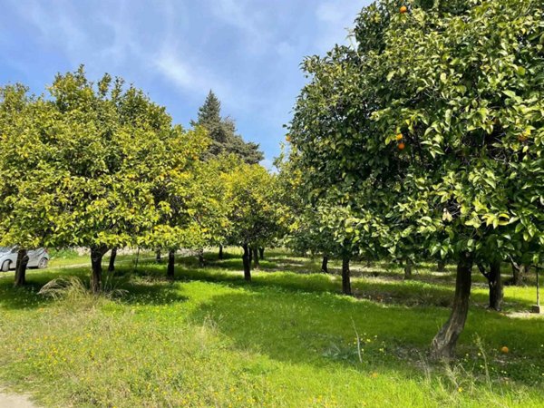 terreno agricolo in vendita a Catanzaro in zona Petricciolo / Alli