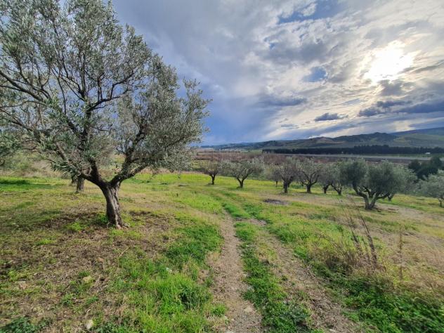 terreno agricolo in vendita a Catanzaro in zona Catanzaro Lido