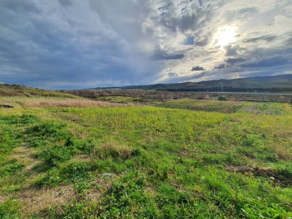 terreno agricolo in vendita a Catanzaro in zona Germaneto