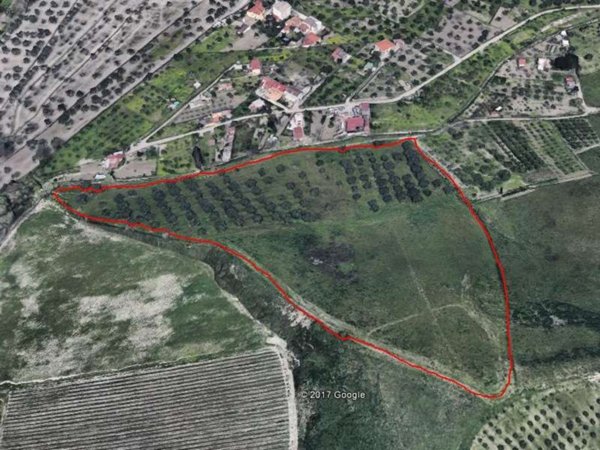 terreno agricolo in vendita a Catanzaro in zona Germaneto