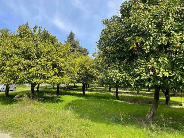 terreno agricolo in vendita a Catanzaro in zona Siano