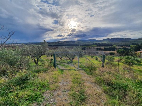 terreno agricolo in vendita a Catanzaro in zona Germaneto