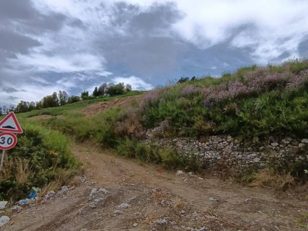 terreno agricolo in vendita a Catanzaro in zona Santa Maria