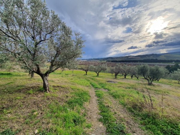 terreno agricolo in vendita a Catanzaro in zona Catanzaro Lido