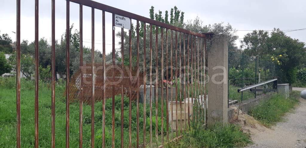 terreno agricolo in vendita a Catanzaro in zona Santa Maria
