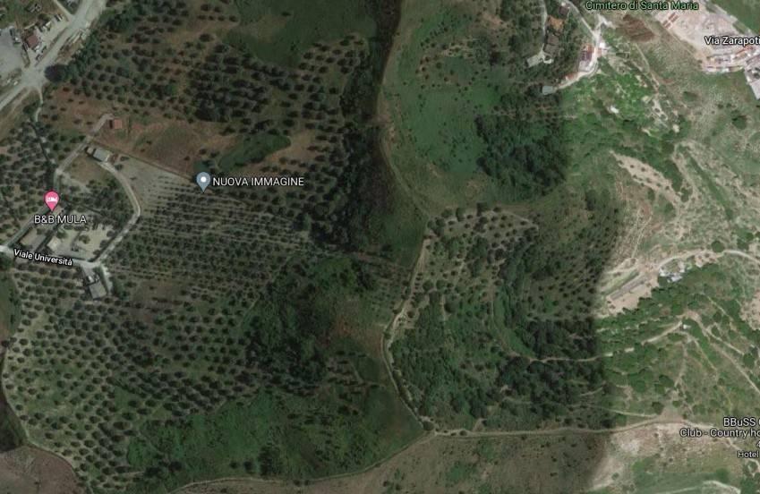 terreno agricolo in vendita a Catanzaro in zona Santa Maria