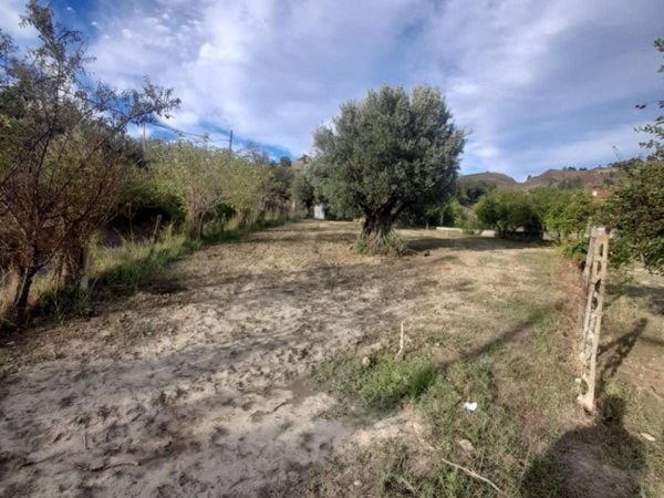 terreno agricolo in vendita a Catanzaro in zona Catanzaro Lido