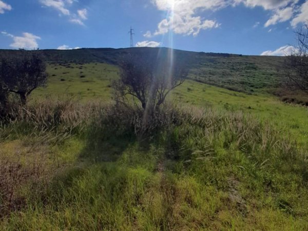 terreno agricolo in vendita a Catanzaro in zona Santa Maria