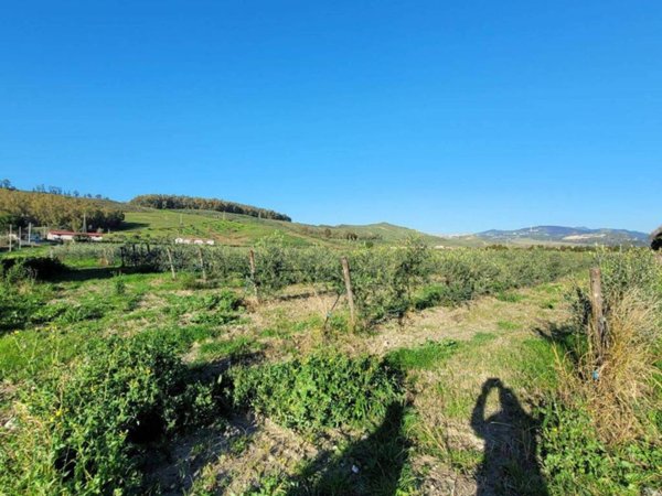 terreno agricolo in vendita a Catanzaro in zona Sant'Elia