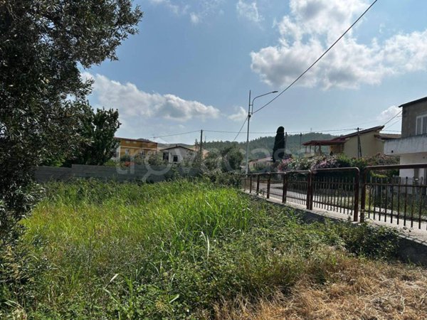 terreno agricolo in vendita a Catanzaro in zona Santa Maria