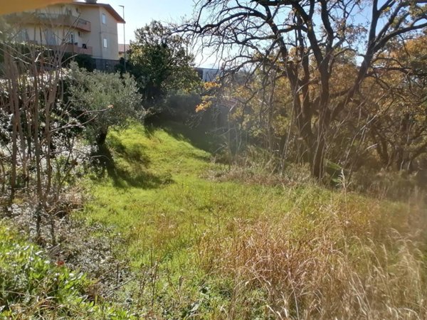 terreno agricolo in vendita a Catanzaro in zona Gagliano
