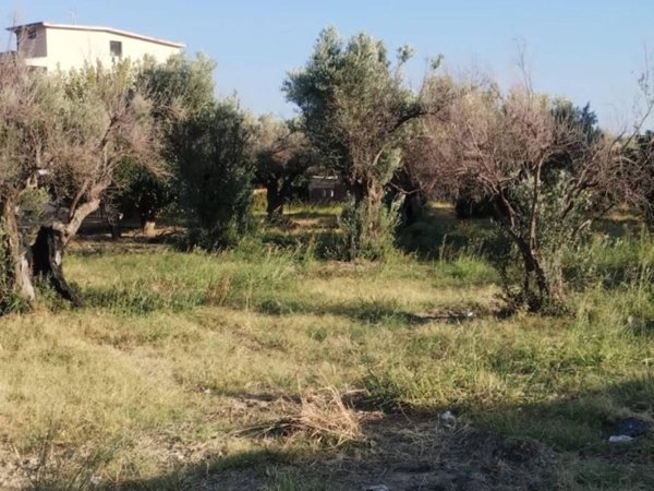 terreno agricolo in vendita a Catanzaro