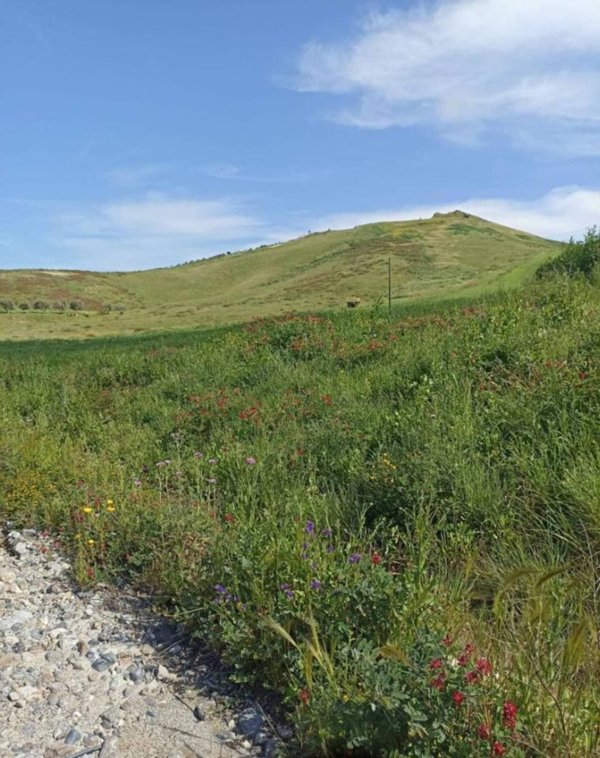 terreno agricolo in vendita a Catanzaro in zona Barone