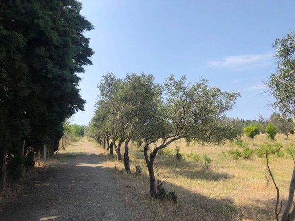 terreno agricolo in vendita a Catanzaro