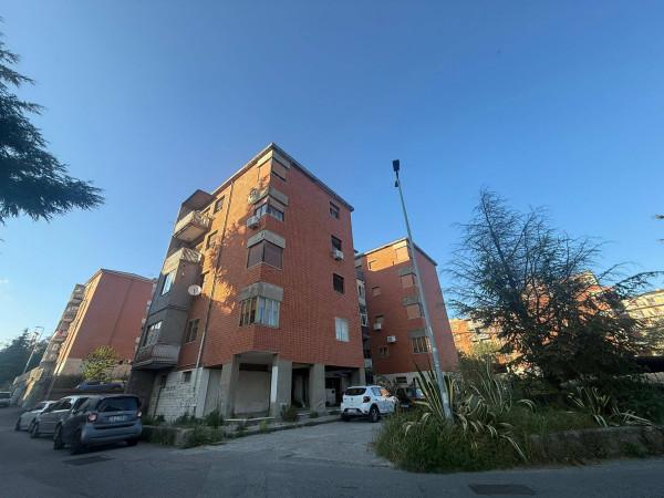 appartamento in vendita a Catanzaro in zona Mater Domini