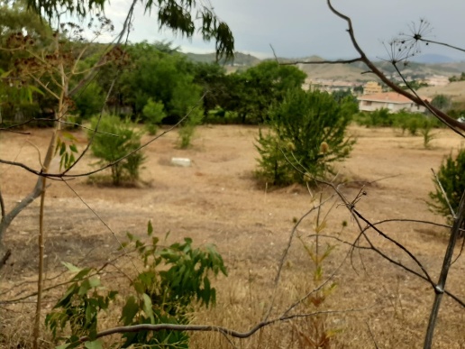 casa indipendente in vendita a Catanzaro in zona Santa Maria