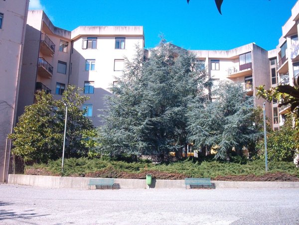 appartamento in vendita a Catanzaro