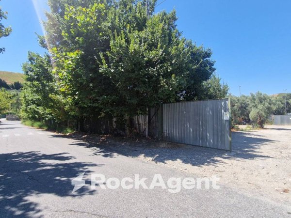 terreno agricolo in vendita a Catanzaro in zona Santa Maria