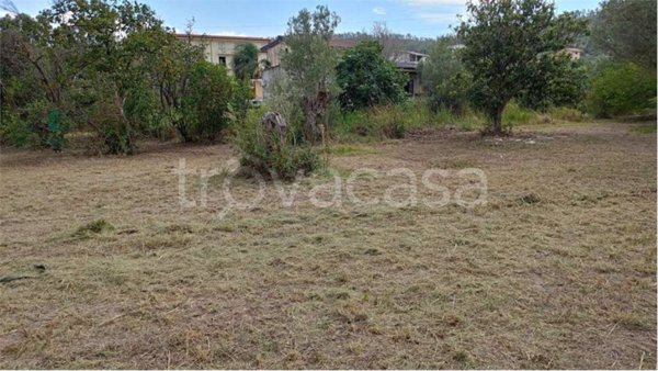 terreno agricolo in vendita a Catanzaro in zona Cava / Cuculera Nobile