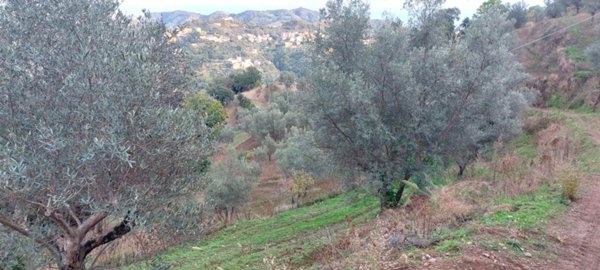 terreno agricolo in vendita a Catanzaro in zona Gagliano