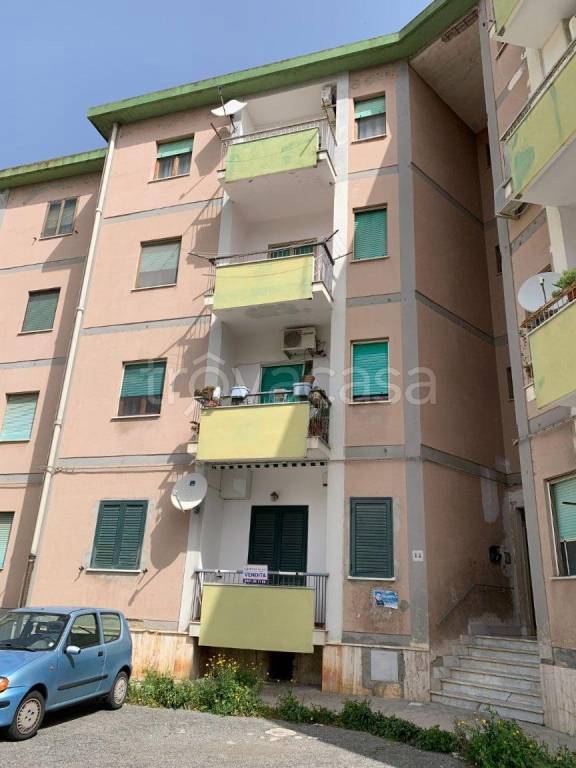 appartamento in vendita a Catanzaro in zona Santa Maria