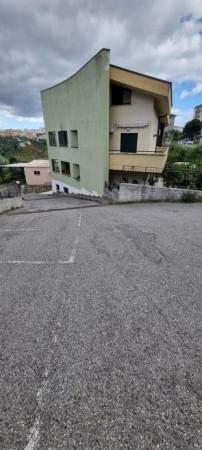 attico in vendita a Catanzaro