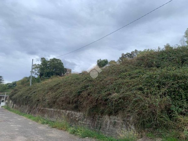 terreno agricolo in vendita a Catanzaro in zona Germaneto