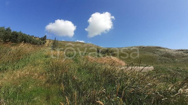 terreno agricolo in vendita a Catanzaro in zona Santa Maria